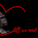 Gorilla Valentinstag