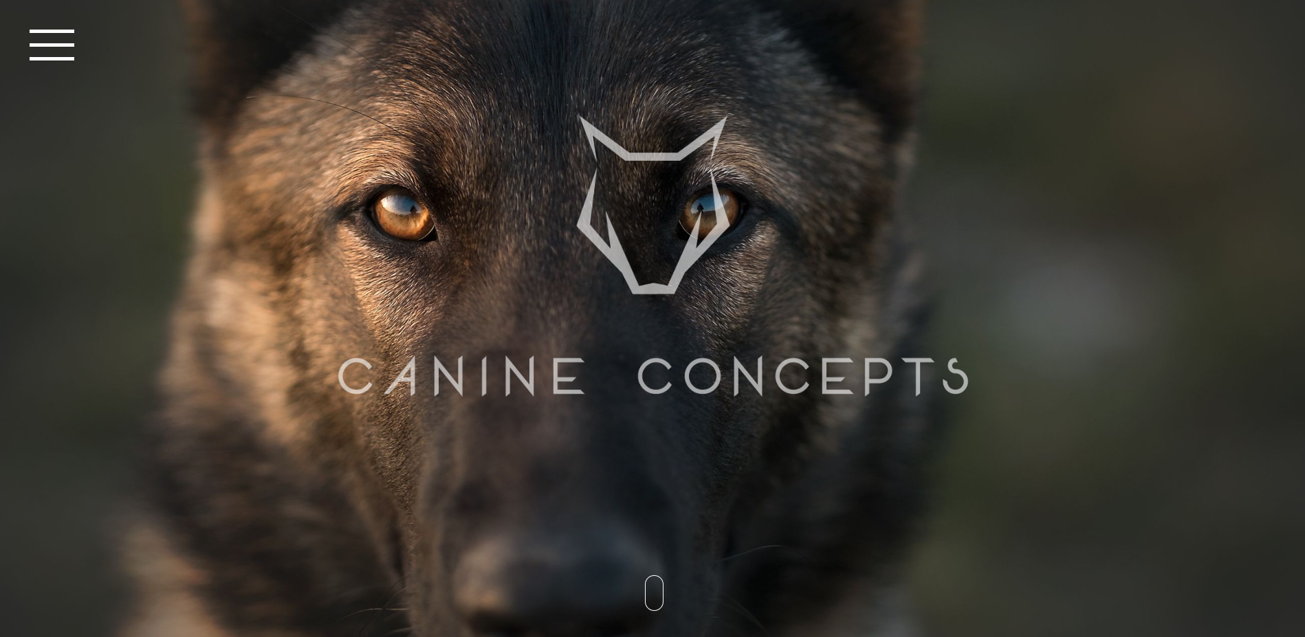 Canine Concepts
