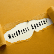 WordPress Agentur Netzwerkstatt19