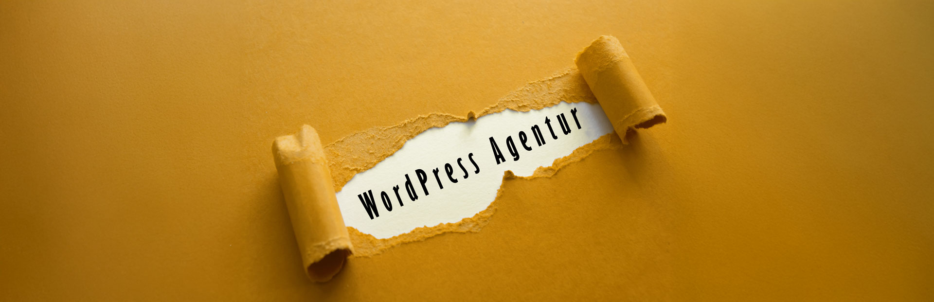WordPress Agentur Netzwerkstatt19