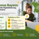 Digitalbonus Bayern: Förderung für die Digitalisierung Ihres Unternehmens